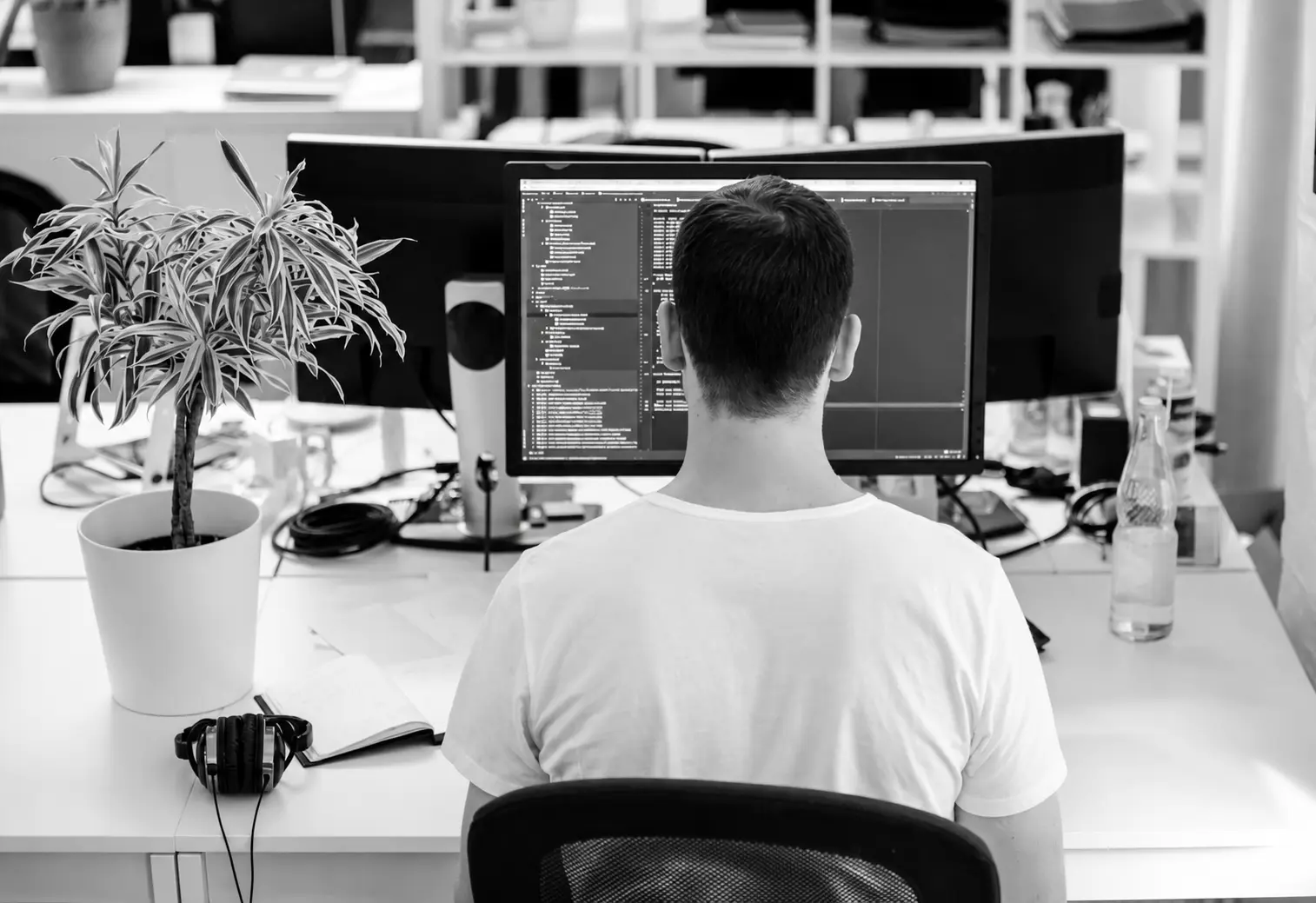 Engineers building secure citizenship automation systems